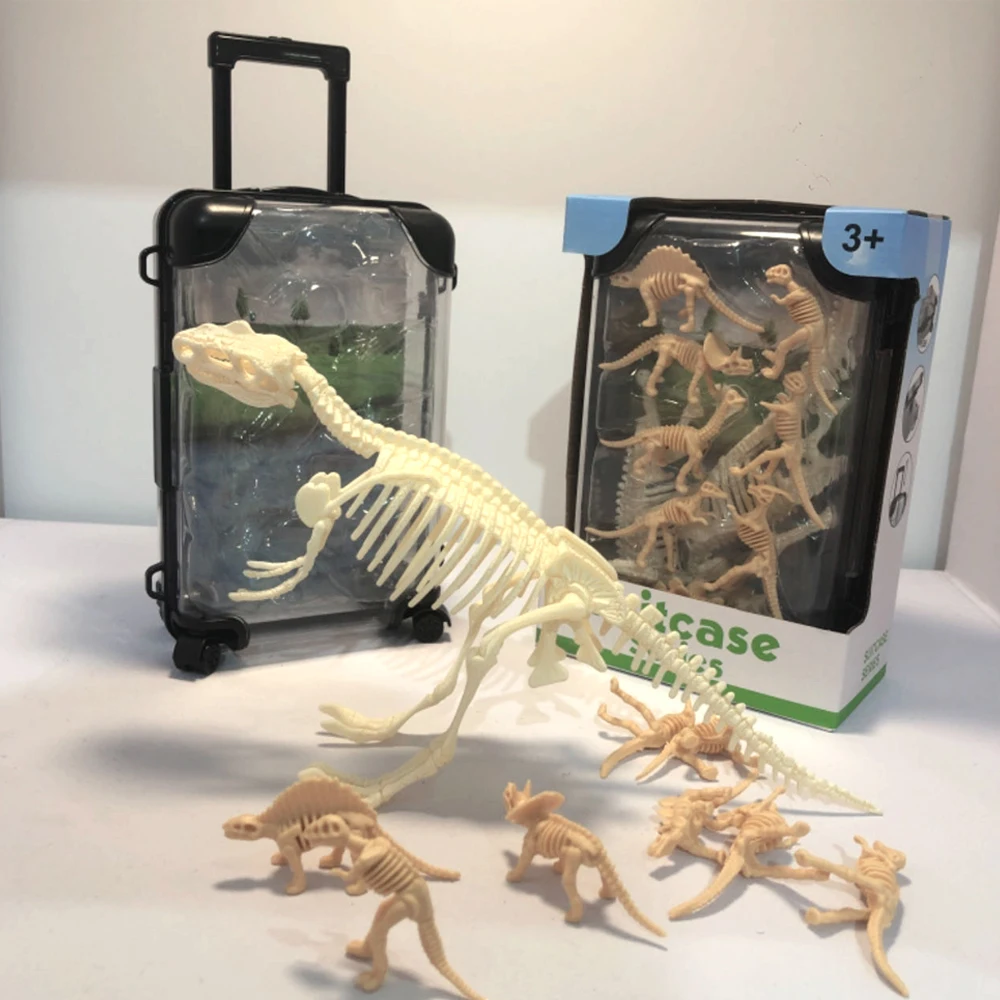 Boneosaurus model wild transparent small suitcase boxed simulation animal square round gift box Boneosaurus