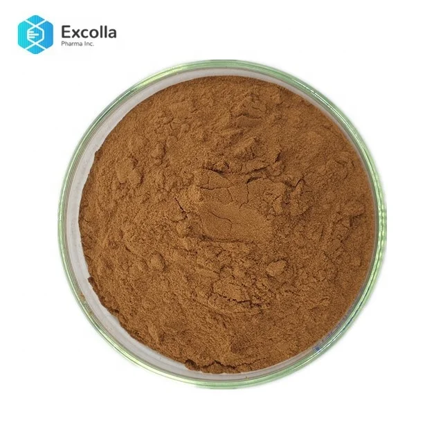 
Natural Antrodia Camphorate Extract Polysaccharides 