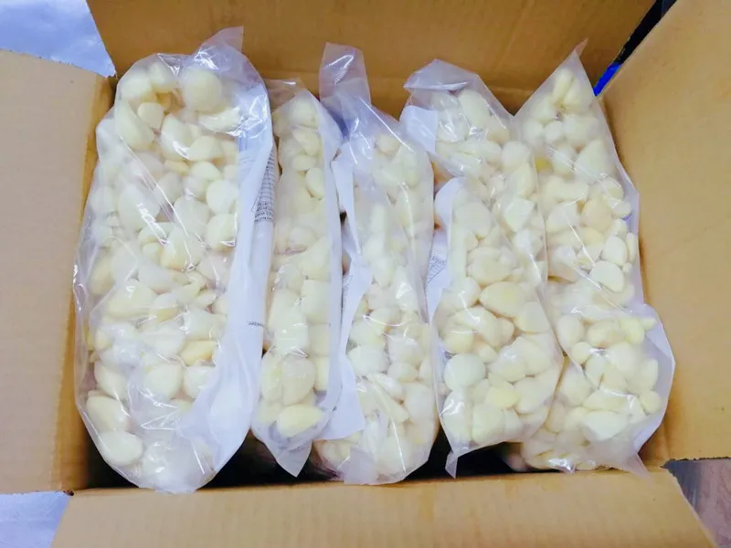 Large Packaged Clean Frozen Garlic in Sweet Taste Spicy Delicious IQF Process Bulk Packed in Carton with Cube Chunk Dice Pattern
