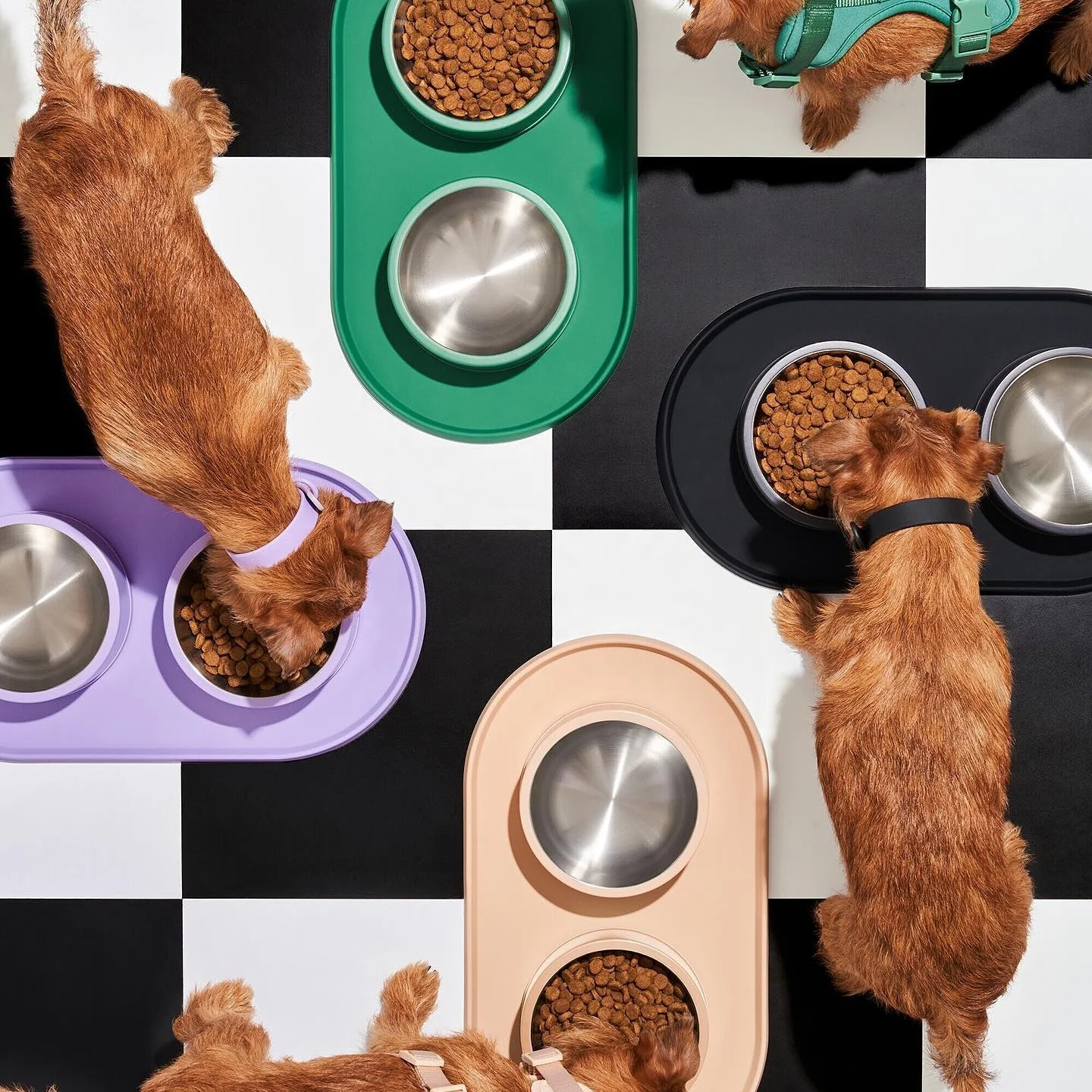 Customized Non-Skid no spill water bowl stainless steel pet dog feeder bowl Kit with silicone mat