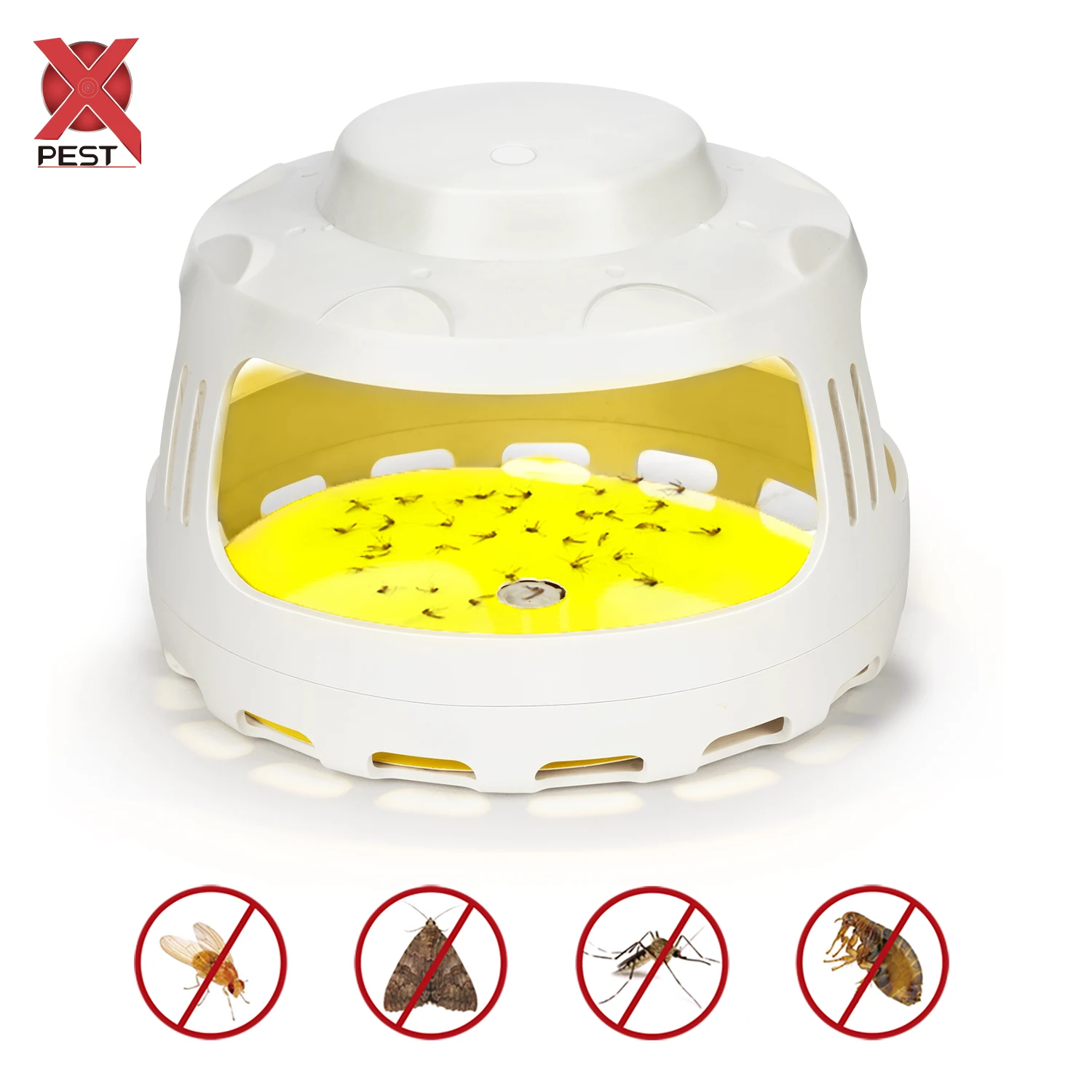 X-PEST New Non-toxic Indoor Insect Catcher Paper Live Catch Trap  Sticky Disposable Fly Glue Trap Fruit Fly Trap