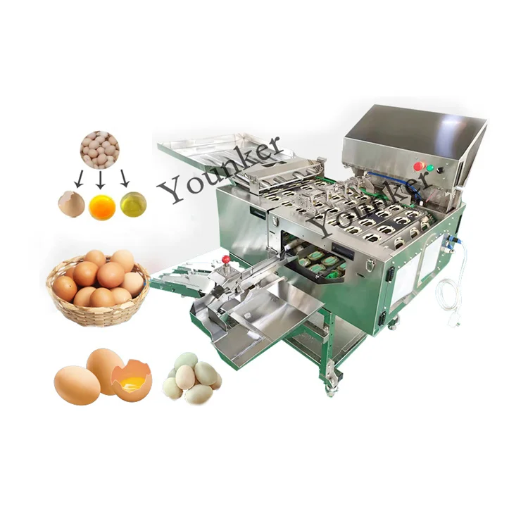 High Quality Automatic Bakery Breaker Yolk And Liquid Separator Egg Cracking Machine Price