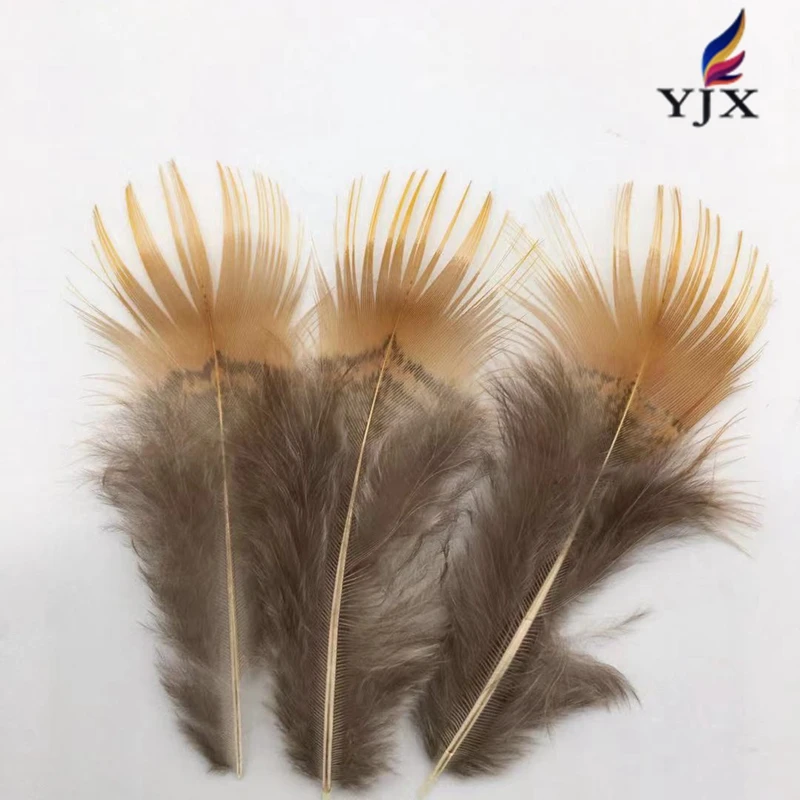 Wholesale  Natural  Color  Golden Pheasant Feathers    Pheasant Plumage  Feathers