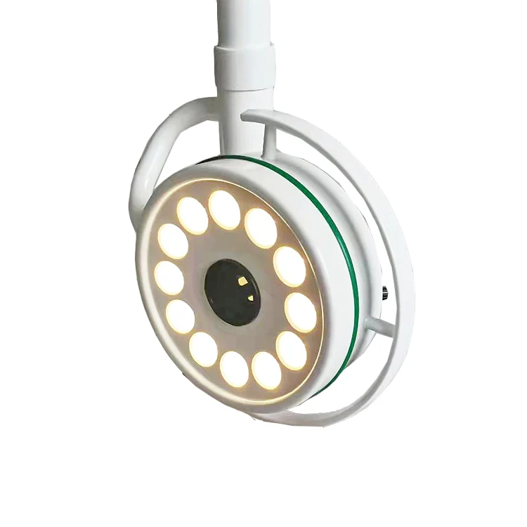 Wall-mounted medical examination lamp and surgical lamp for veterinary use in pet hospitals