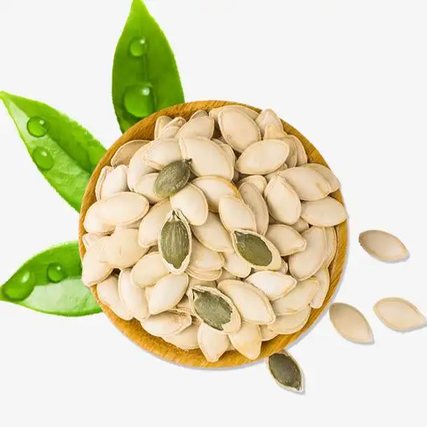pumkin seeds pumpkin