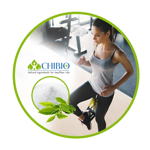 Less Bitter Natural Kucha Tea Extract Theacrine for Sports Nutrition