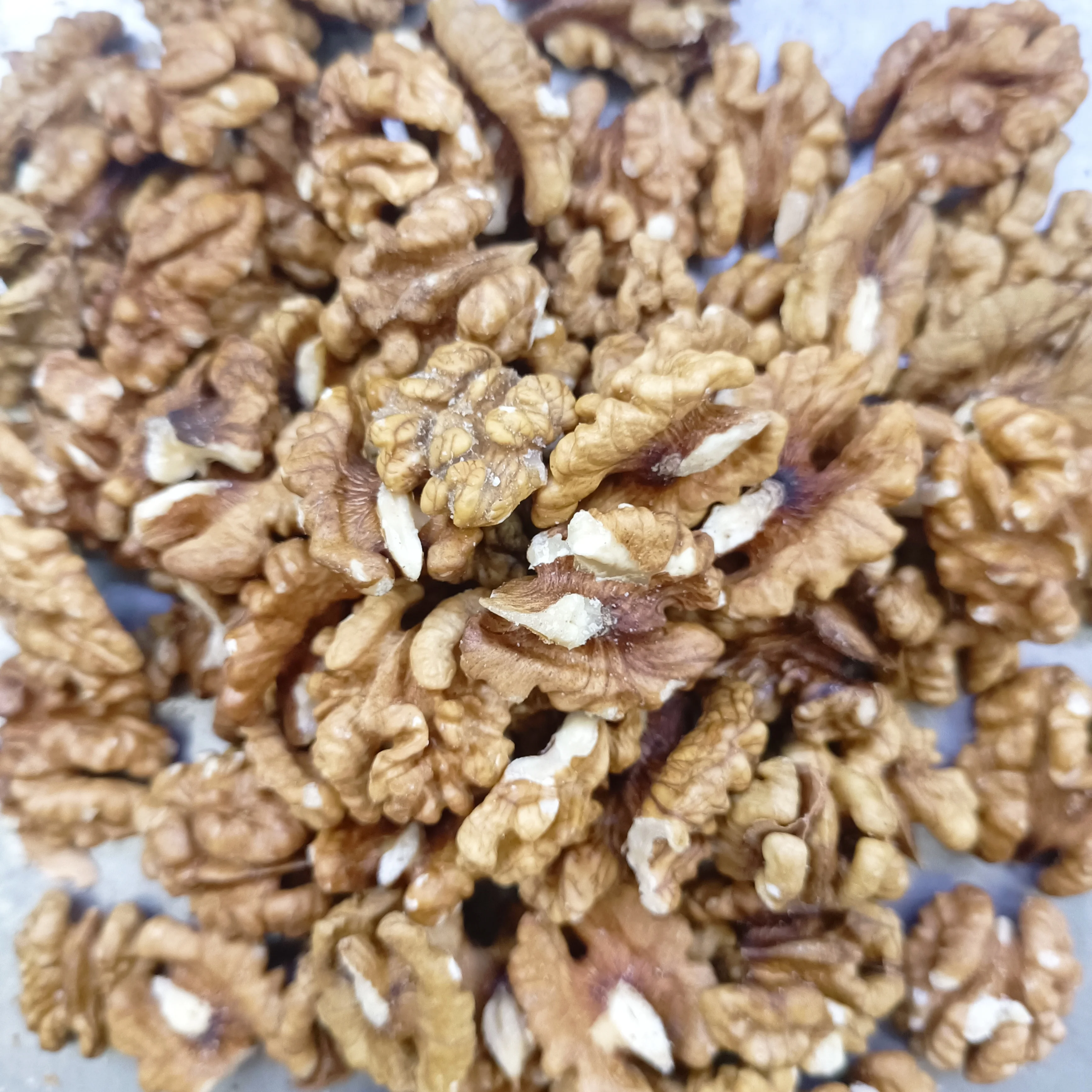 Wholesale Natural Organic Top Grade White Walnuts kernels