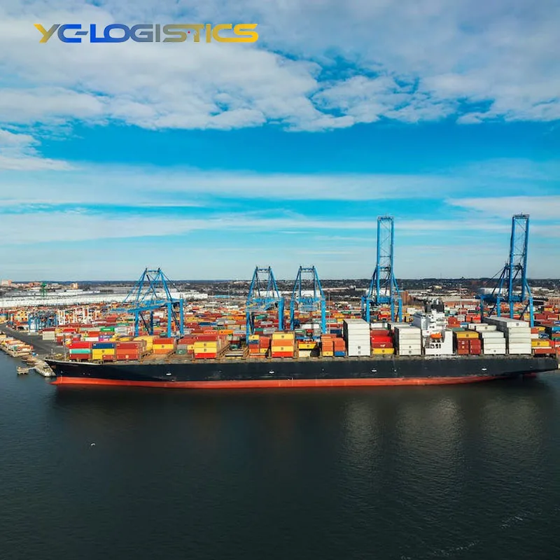 sea freight forwarder from china to uae dubai