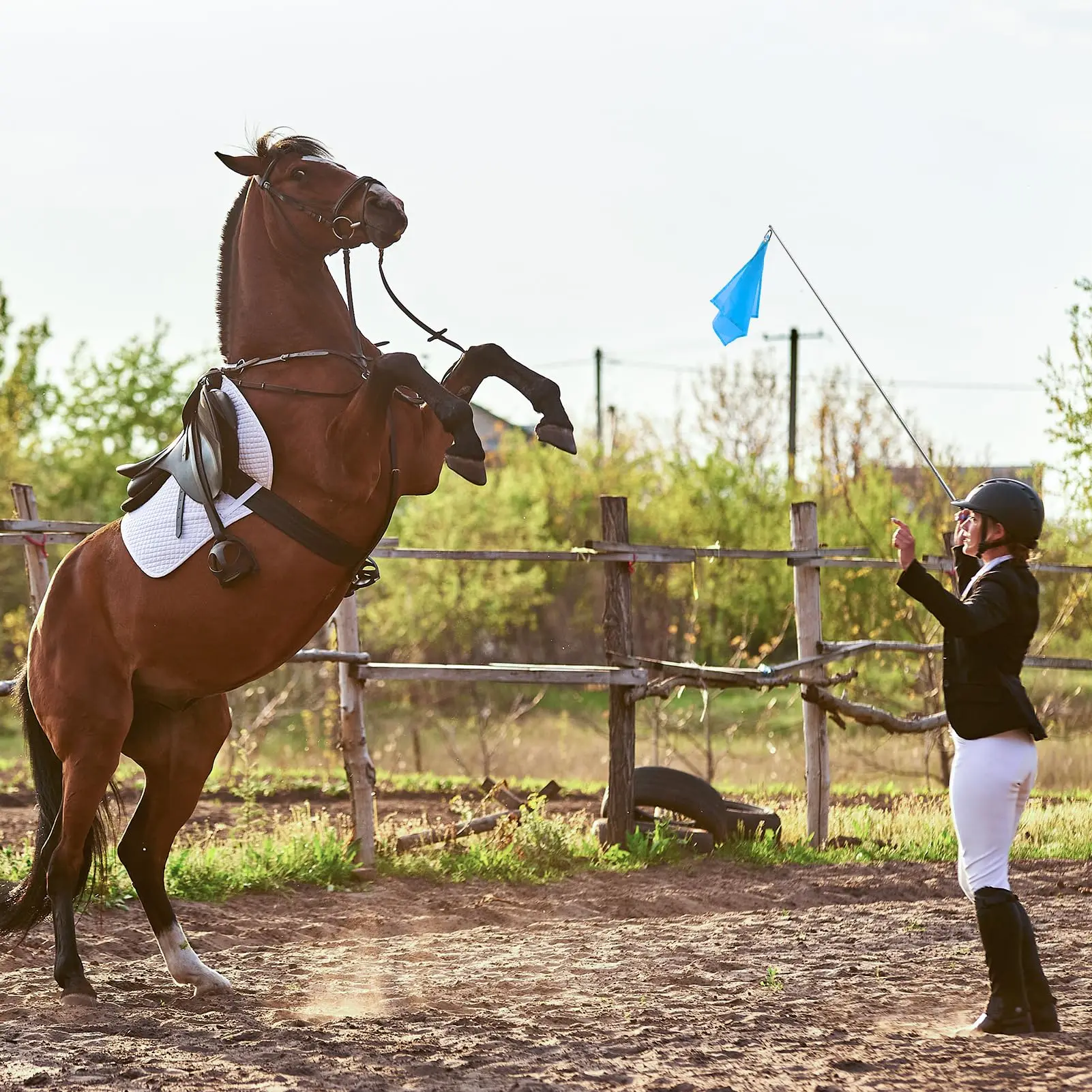 Wholesale Custom Horse Equipment Accessories Animal Horse Training Flag Customized Logo and Design Farming Gear