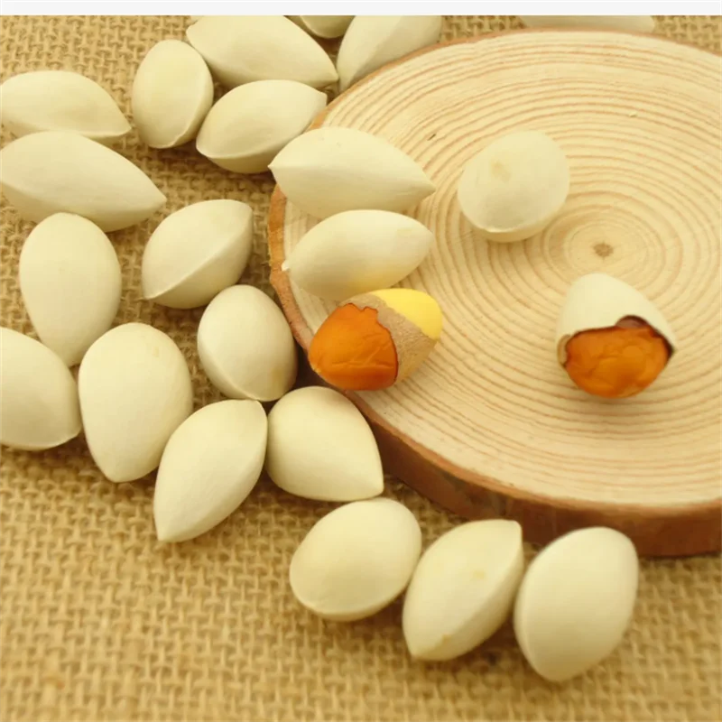 2023 High Value Longevity Fruit Ginkgo Fresh raw Ginkgo with shell White kernel unbleached wild ginkgo fresh Silver Almond