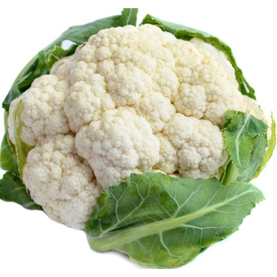 International Market Price High Quality Fresh Cauliflower