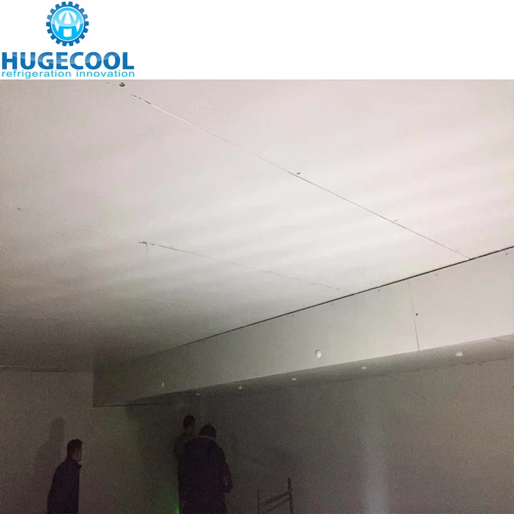 PU Insulation Polyurethane Sandwich Panel for Farmhouse Cold Room