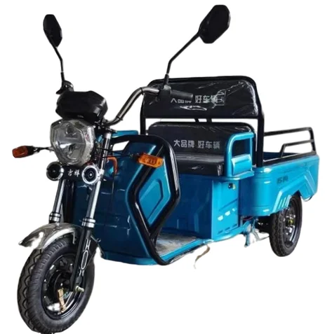 Sharefer factory direct sales 60V 800W electric moped adults three wheeler motorcycle electric cargo tricycle
