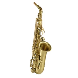 Professional High Grade Woodwind Instrument RSA-X5 Alto Saxophone