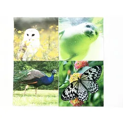 custom design jewelry cleaning cloth print logo sublimation large size microfiber lens eyeglasses fabric cleaning cloth