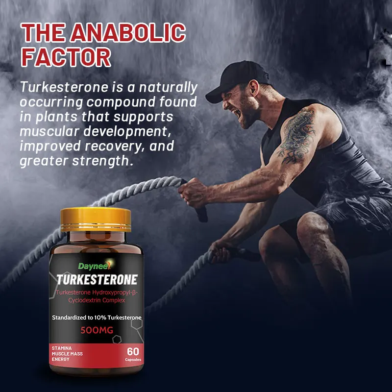 Healthcare supplements Turkestanica Extract Powder 10% 500mg/60capsules/Bottle custom Turkesterone Capsules