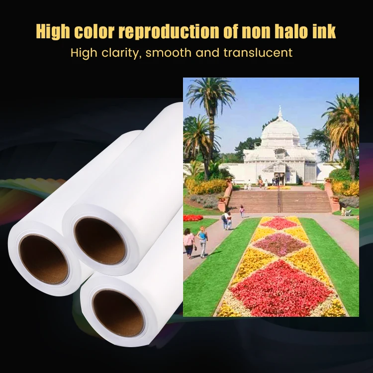 Hot sale 240 260 gsm RC lucky high glossy stain  lucky RC high glossy roll photo paper