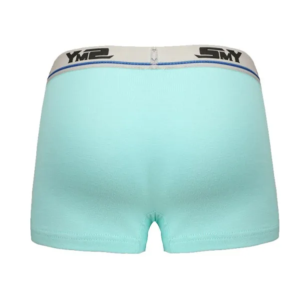 
New Design Cotton Children Panties Little Boys Underwear Model Kids Boxer Shorts 