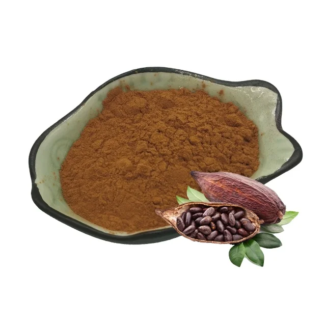 GMP manufacturer 100% pure cocoa seed extract