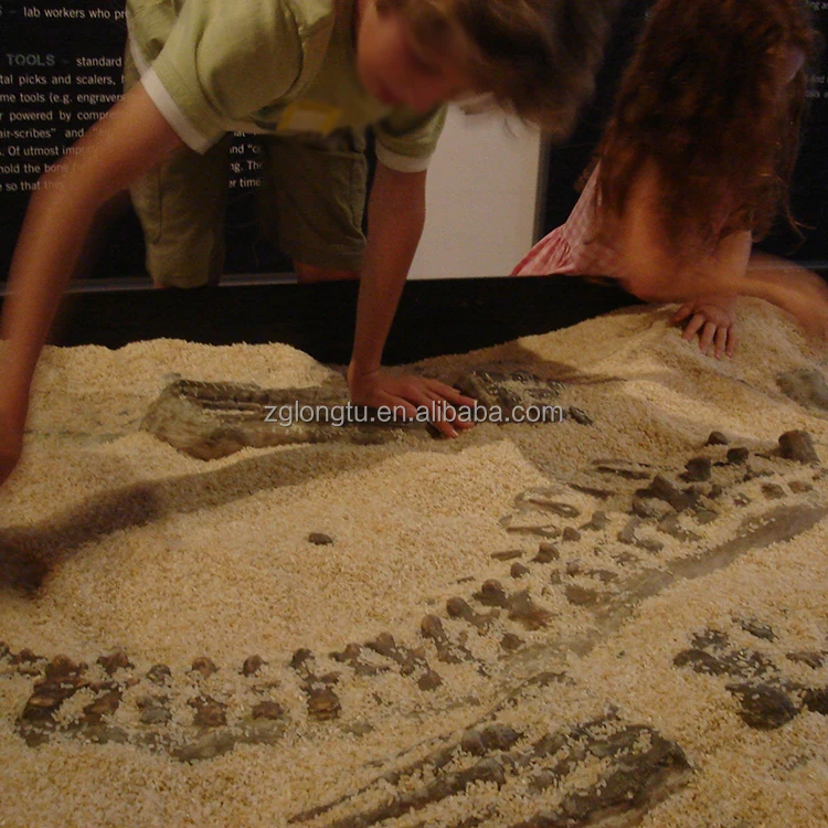 Kids Game Park Digging For Dinosaur Bones At Amusement Park