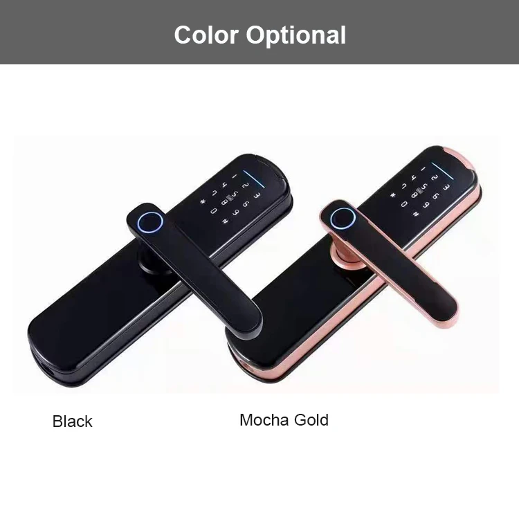 Smart Home Electronic Electric TT APP Wifi Smart Lock Digital Biometric Fingerprint Door Lock