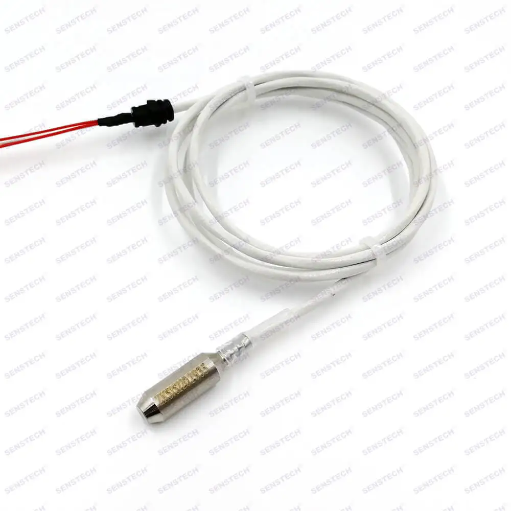 Bear Load Probe 1M 2M 3M PTFE Cable RTD PT100 PT1000 Temperature Sensor