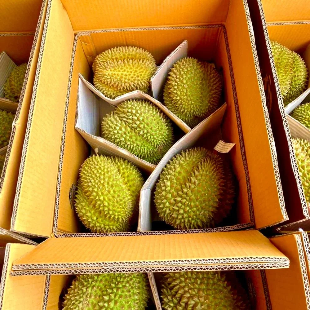 
Premium Quality Monthong from Thailand Fresh Durians 