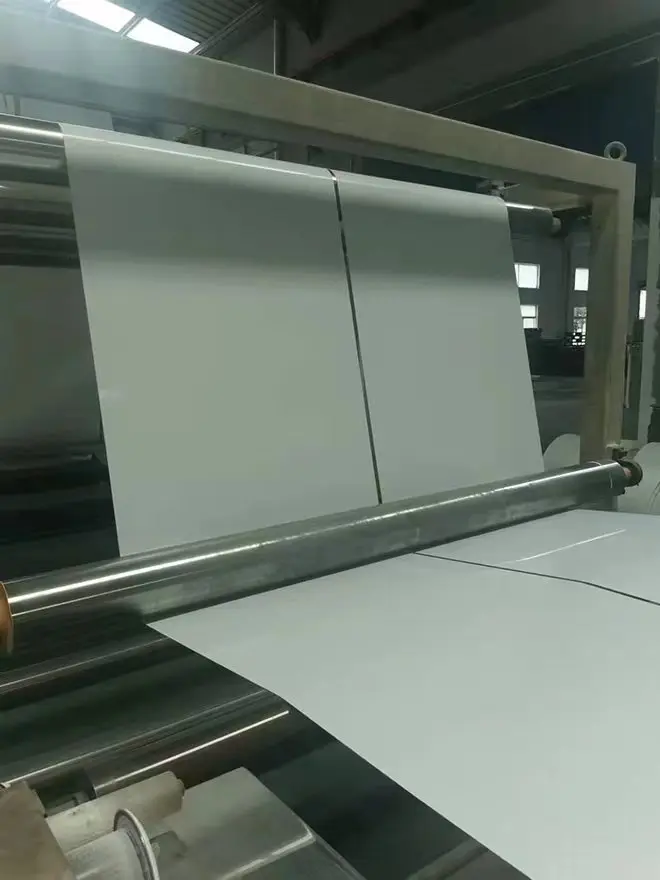 high quality 1mm PP Chicken manure remove belt polypropylene manure tape