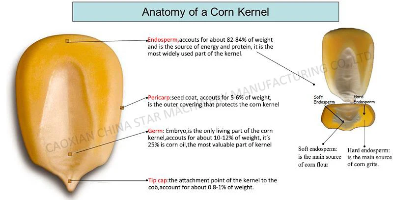 Corn grits machine/Corn grits machine in flour mill 15HP diesel engine maize gritz powder milling corn mill machine