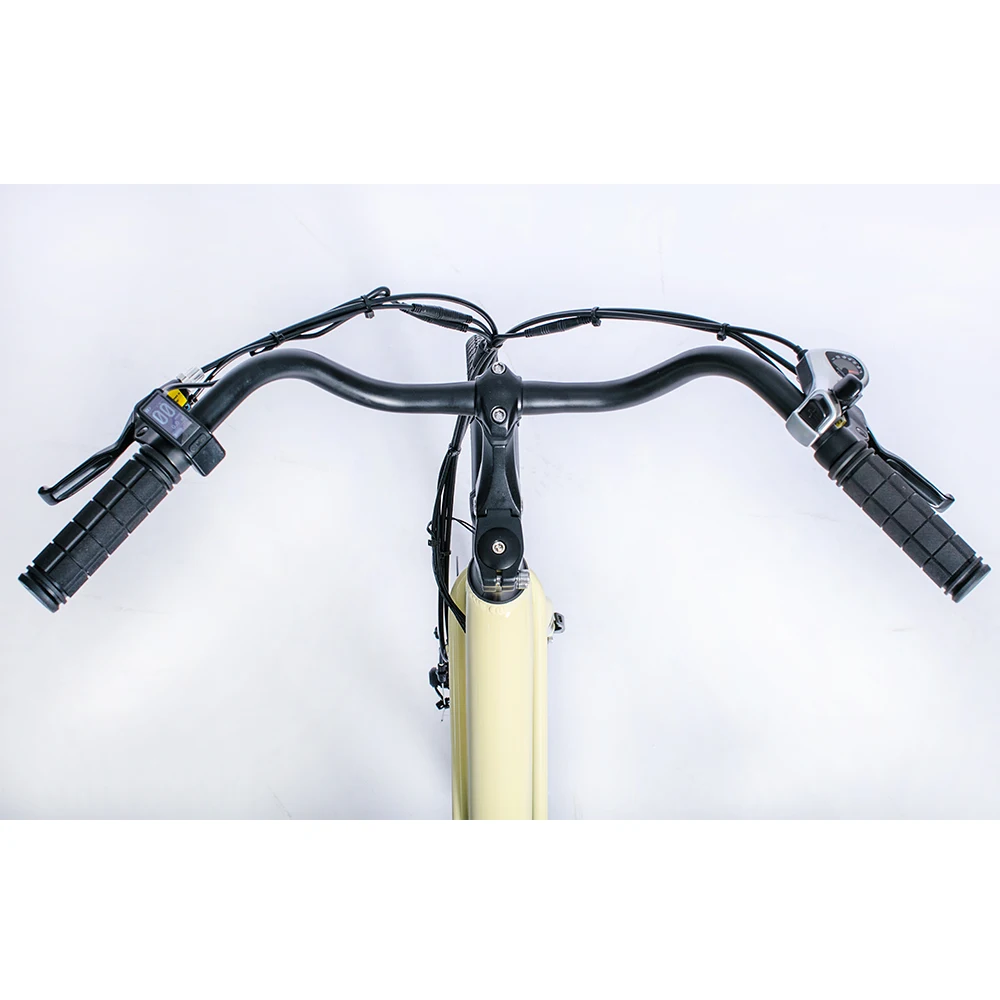 Zodin Factory Price Bicycle Aluminum Alloy 250W 36V Electric Moped City Bike Ebike For Women