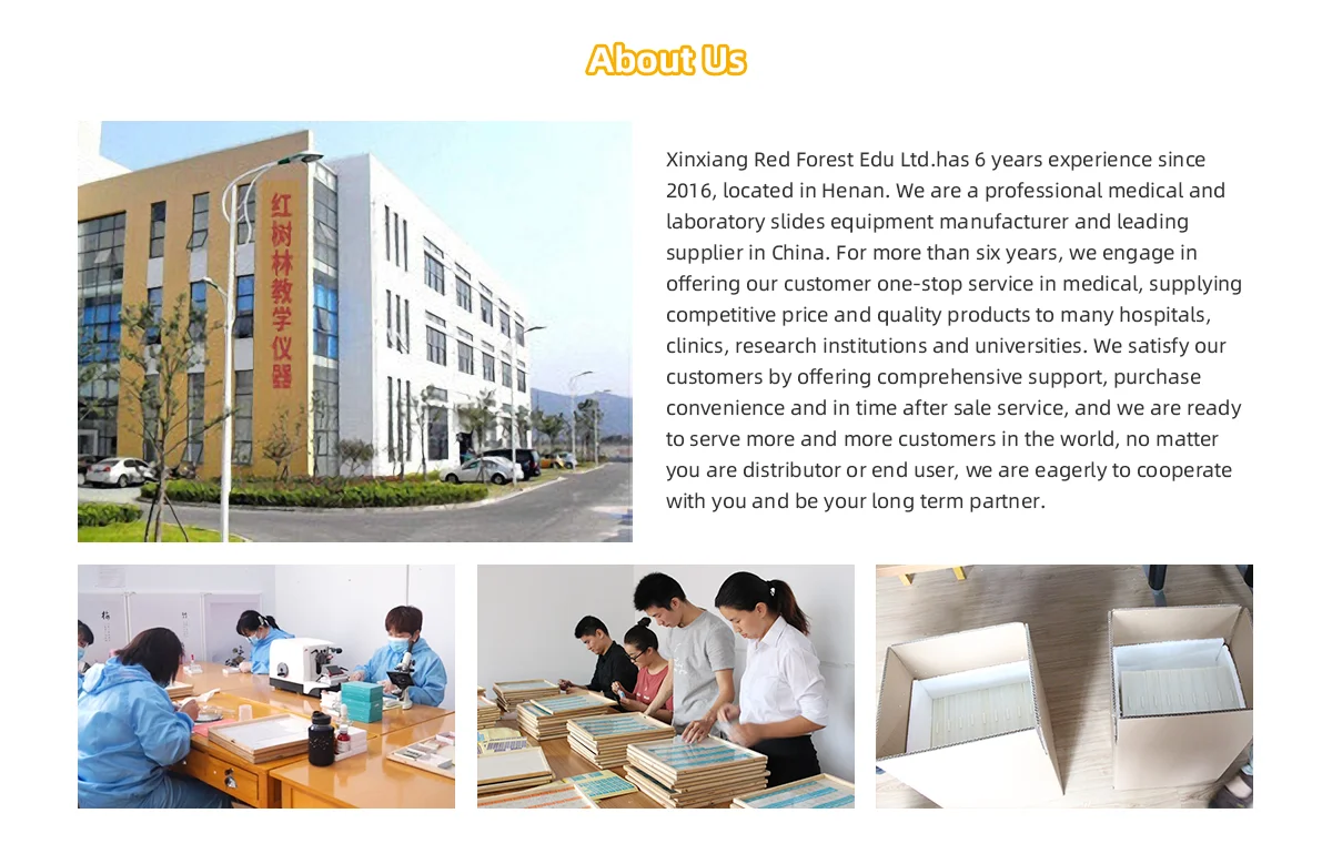 Company information-1.png