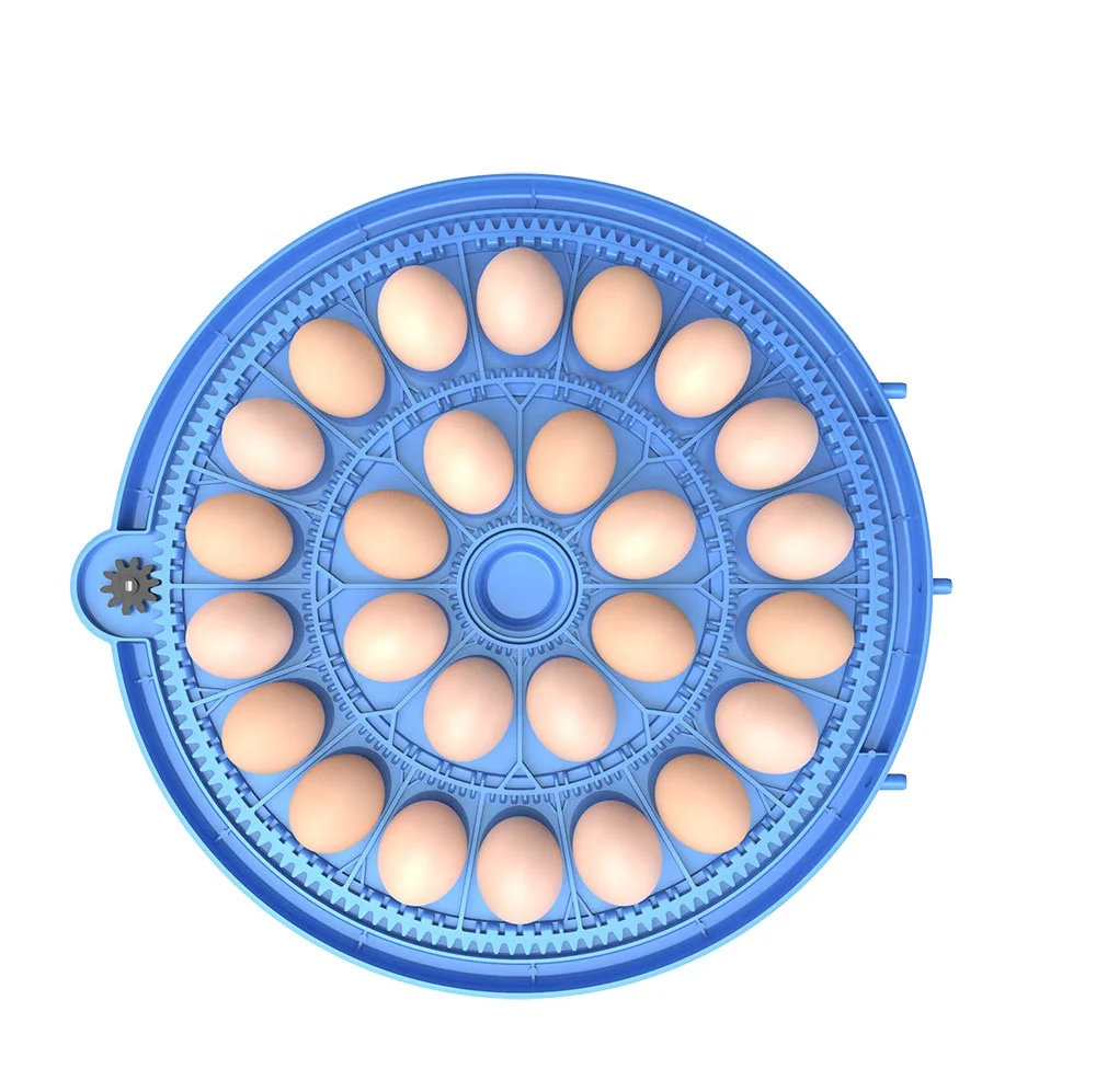 Tongda Mini 8/26/52 Capacity Chicken Eggs Incubator For Hatching Eggs