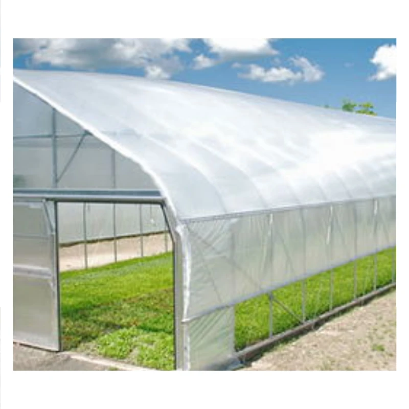 High-Efficiency Film Greenhouse System for Modern Agriculture Professional Crop Cultivation and Growth Solution