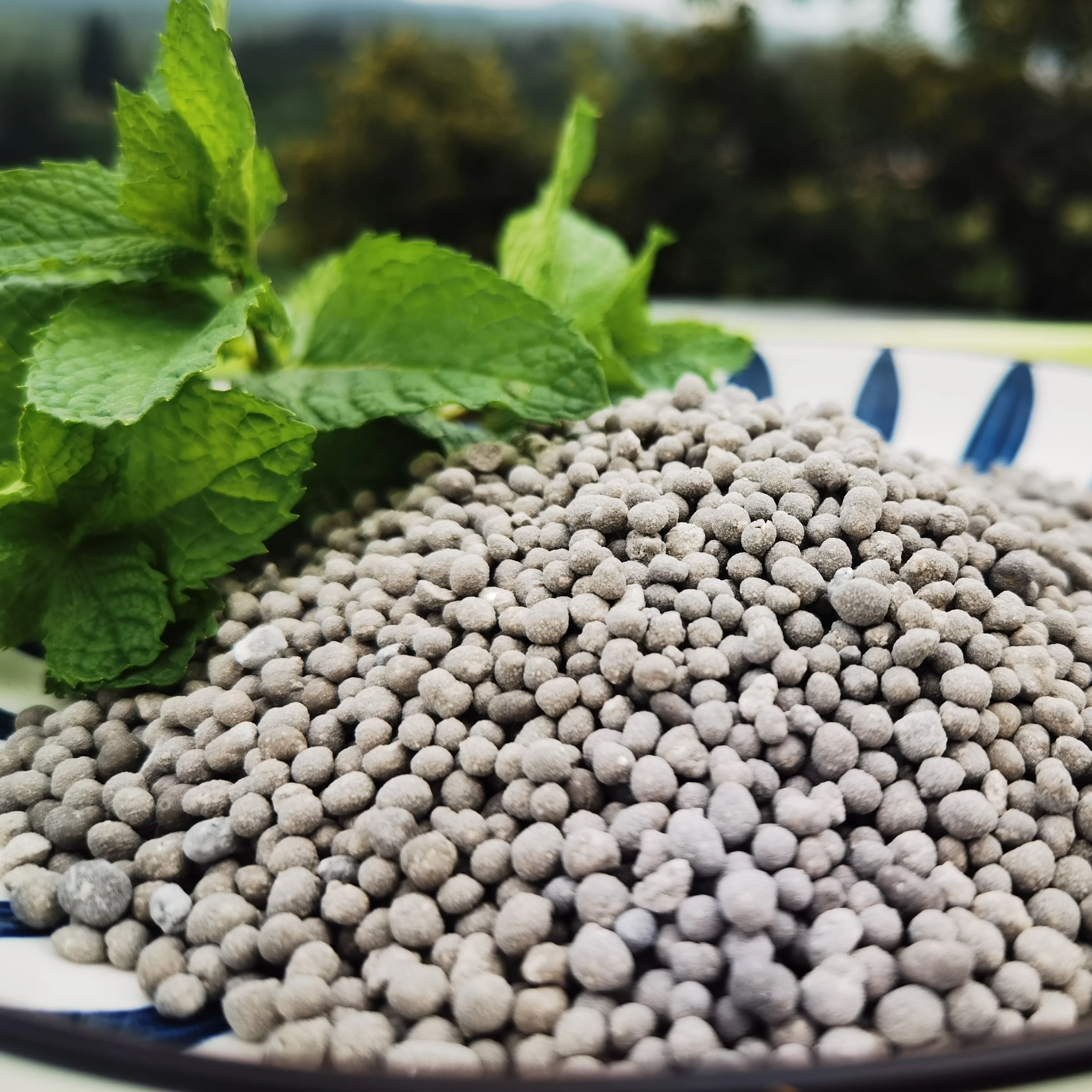 Bulk Factory Wholesale SSP Rock Phosphate Single Superphosphate Agriculture Fertilizer Granular Calcium superphosphate