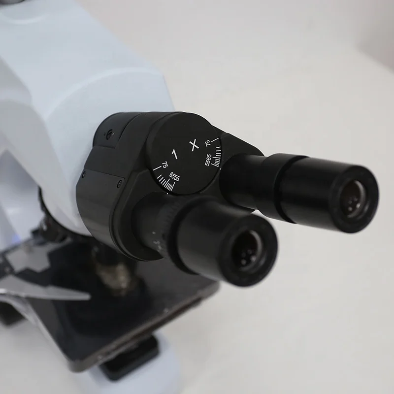 BIOBASE China Manufacturer Laboratory LCD Digital Binocular Biological Microscope