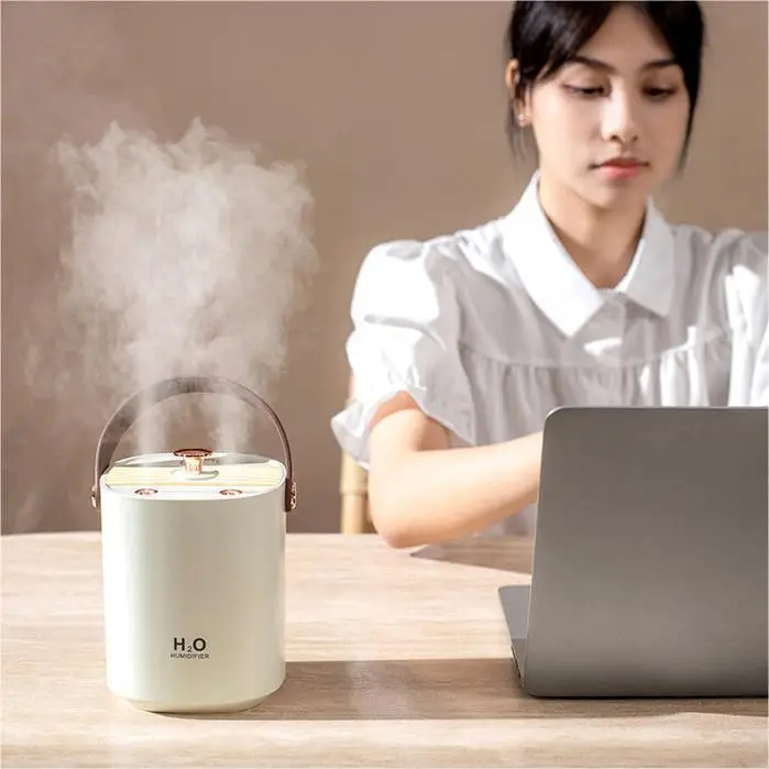 2023 new design 1.2L carrying handle double spray H2O Humidifier USB rechargeable Fashion Air Humidifiers