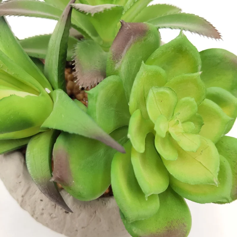 Small Cement Potted Artificial Echeveria Succulent Plants