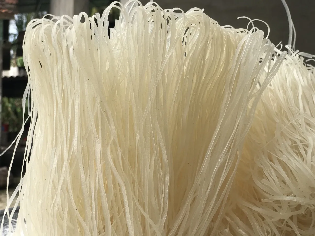 Hot Product OEM Service Free Sample Vietnam Factory Dry Fresh Rice Noodles on Sale Instant Rice Noodle