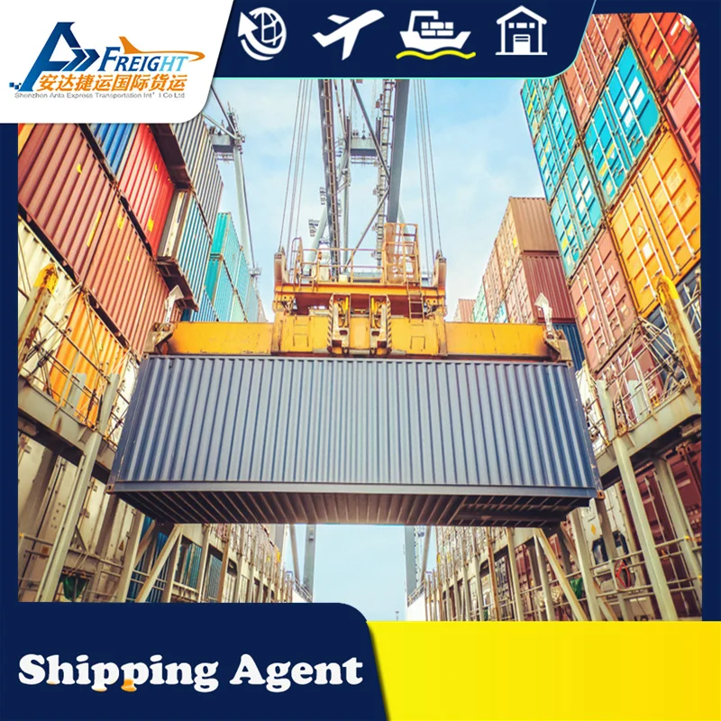 Delivery Safety DDP Door To Door Service Sea Freight Transport Container Cargo Shipping Agent To USA