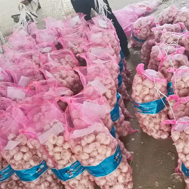 Сетчатый мешок 4,5 см, 45 мм, 20 кг, Китай, хорошая цена, фиолетовый, красный, нормальный, белый, свежий чеснок в Кабо-Верде