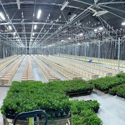 Большая Акция! 2023 распродажа тепличные Гидропонные скамейки для выращивания семян столы растений