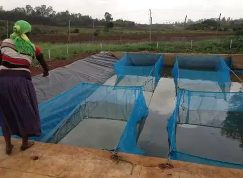 Cage Pour Aquaculture De Poulpe En Mer ,fish Farming Cage Net