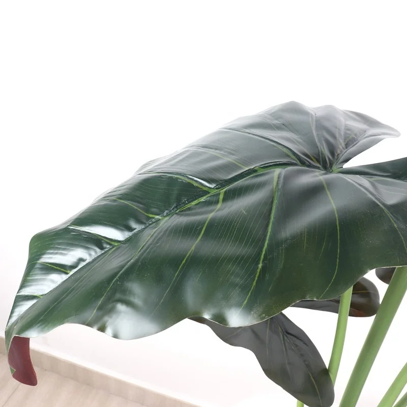 Wholesale For Interior Decoration Large Evergreen Plant Plastic Calla Bonsai Tree