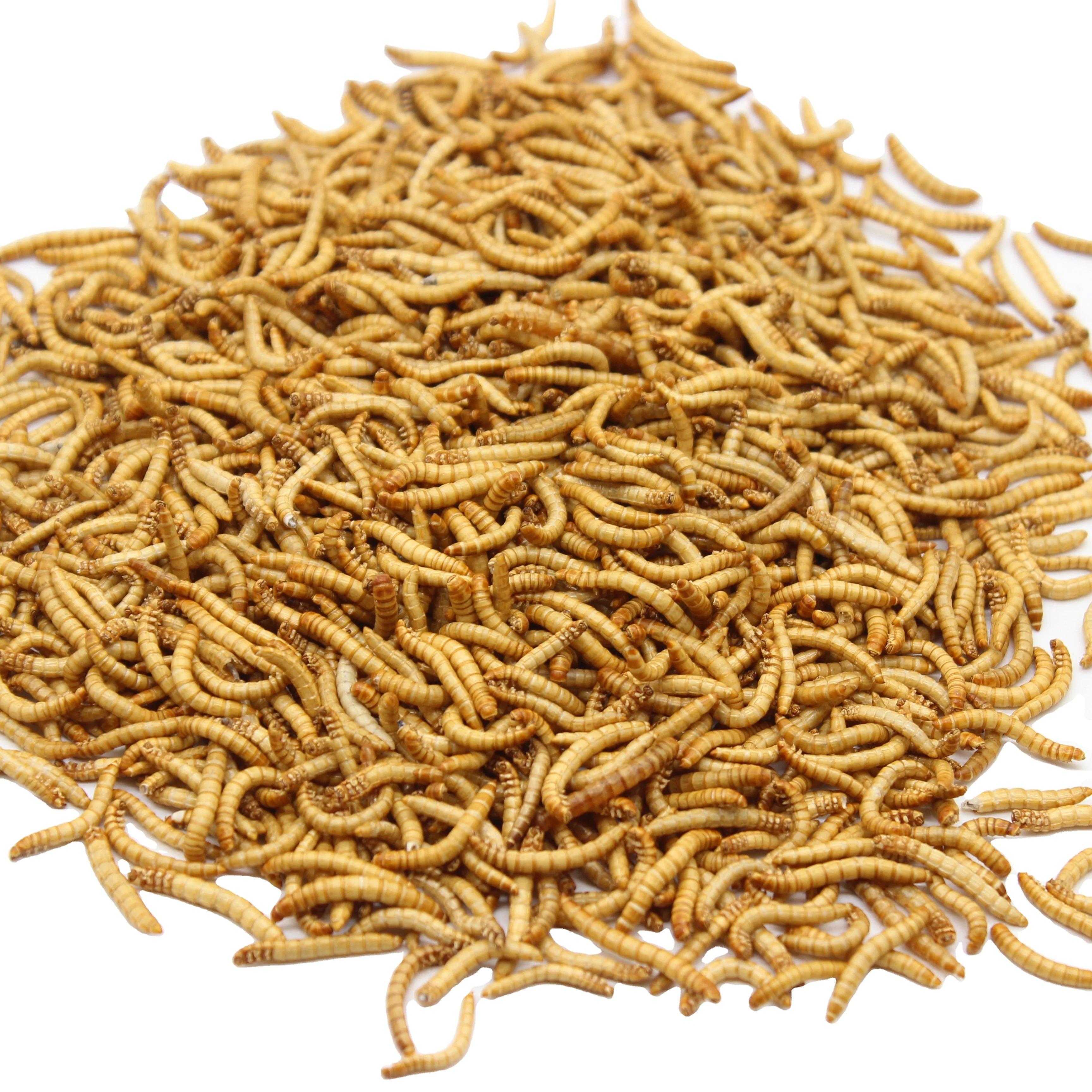 
Rich Nutrition Poultry Food Mealworms Dried for Hen Feed 