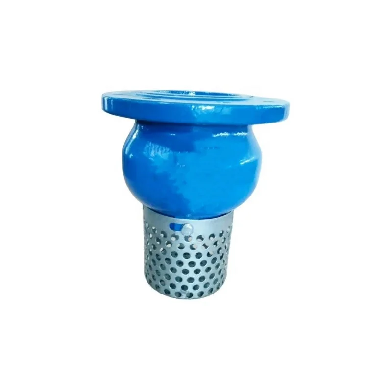 Ductile Iron Foot Valve with Stainless Steel Strainer