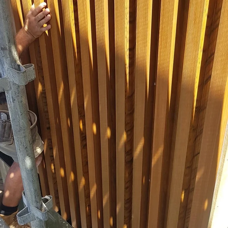 New Product Promotion Iso Outdoor Wpc Wood Plastic Wall Cladding Facade