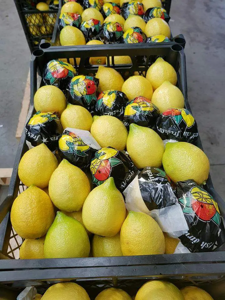 
100% Natural Pure Quality Rich Vitamin Fresh Fruit Lemon Citrus Fruit 