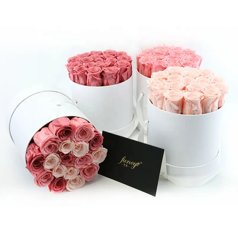 Wholesale Infinity Rose Home Decor Gifts Valentine Preserved Rose Flower Forever Eternal Rose