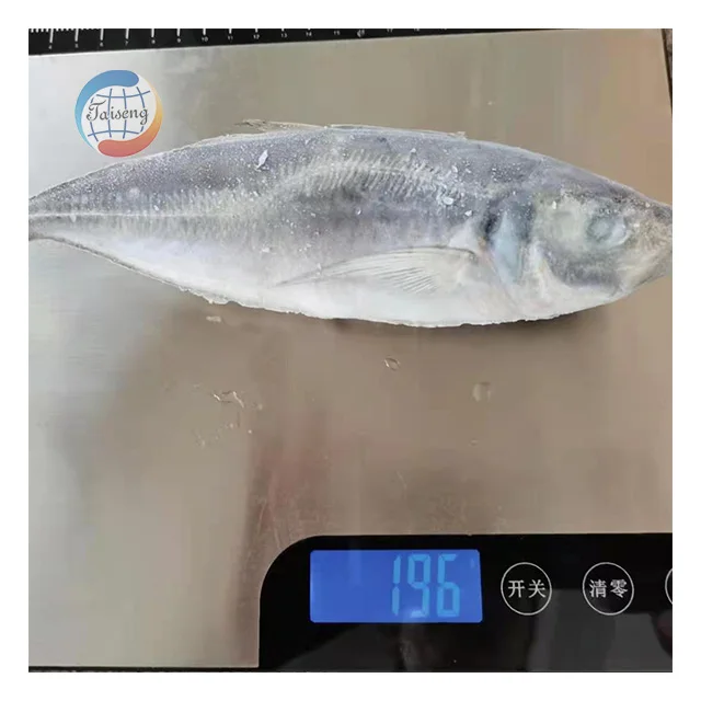 Цена за замороженные морепродукты рыбу Ангола Конская