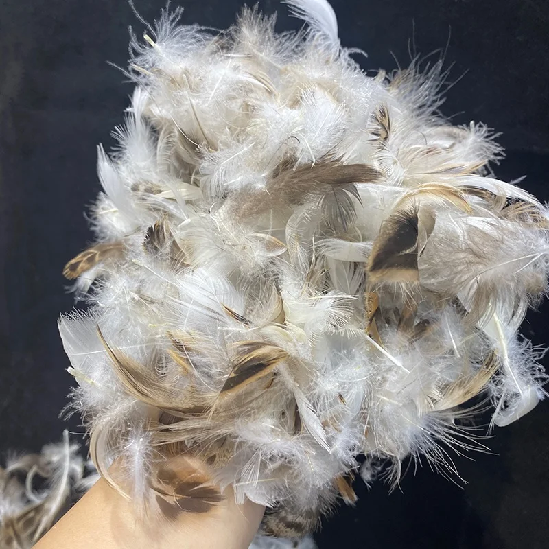2024 Top Quality Clean Household Textile Fillers Machine Washed Grey Duck Feathers for Sale